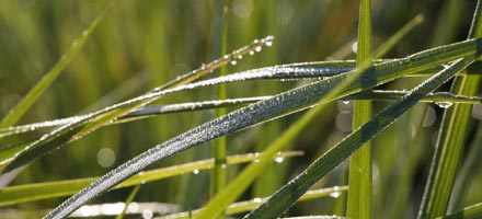 Gesundheit im Urlaub in Franken Gesundes Leben