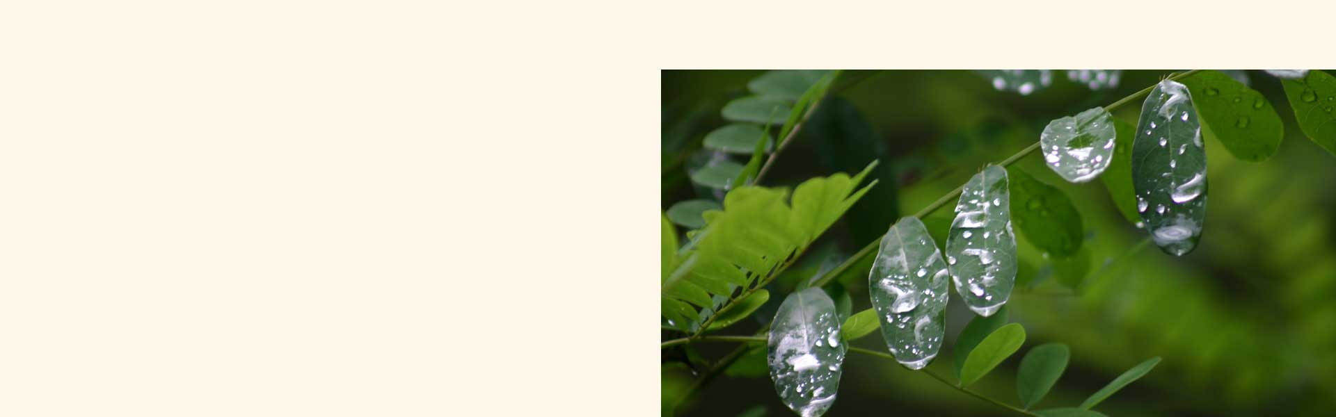 Wellnesshotel Franken Spa Sauna