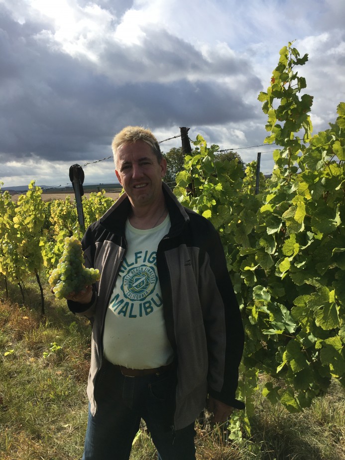 Besonders kosmische Silvaner Traube 