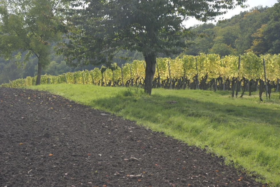 zur Vernissage von Fritz Volkert in Wörners Schloss Fotografie von Fritz Volkert