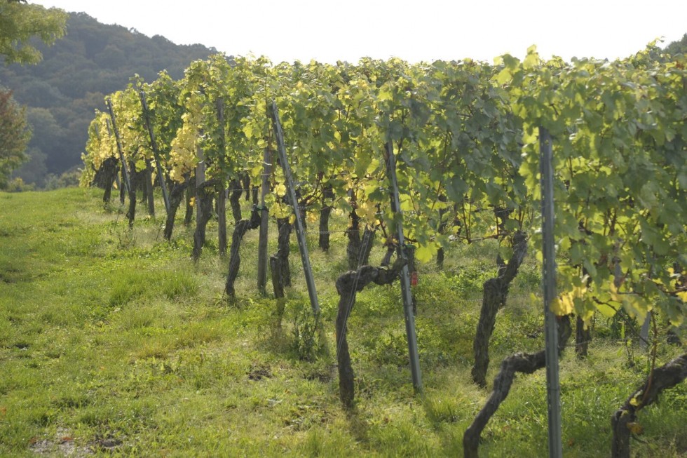 Fotoausstellung mit Fritz Volkert in Wörners Schloss  Galerie Fotoausstellung im Schloss