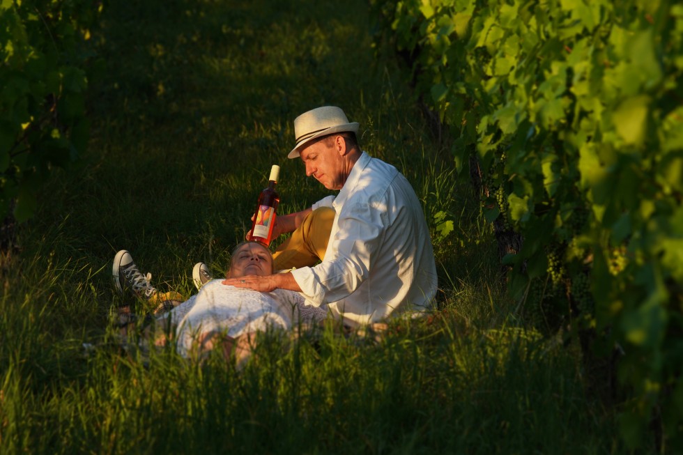 Heilarbeit im Weinberg mit Charkenausgleich  Heilarbeit